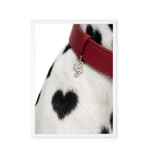 Spotted dog design wall art