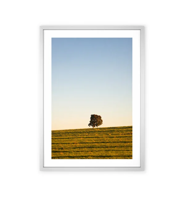 Minimalist Lone Tree – Nature Wall Art